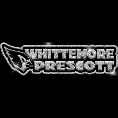 GLT99 SILVER GLITTER Thumbnail